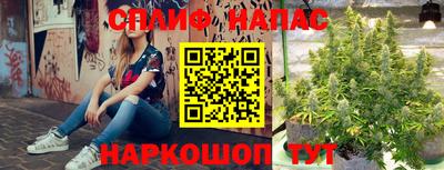 мдпв Кимры