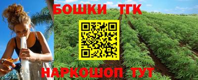 твердый Кингисепп