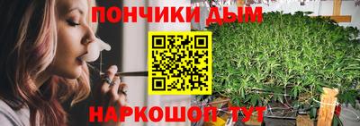 spice Кинель