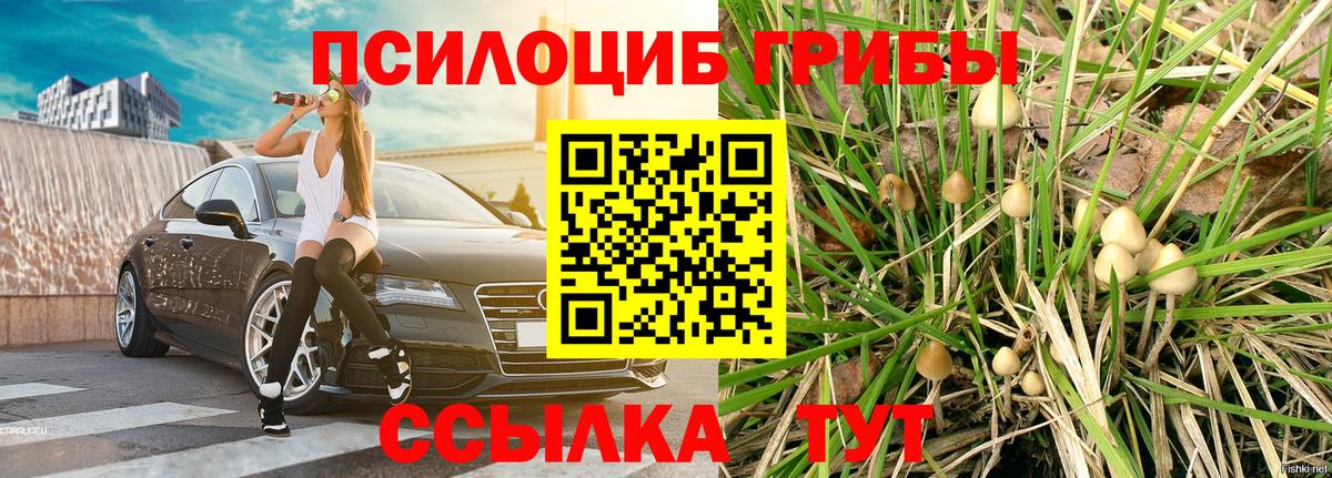 Псилоцибиновые грибы мицелий  Псилоцибиновые грибы Magic Shrooms  Ирбит  Вход с VPN 